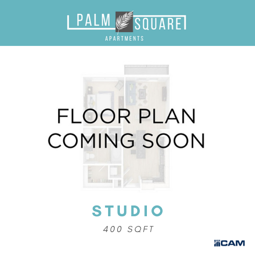 Palm Square photo 3